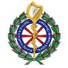 HSE Ambulance Logo